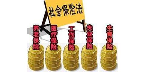 专业社保代理服务 为广州分公司与办事处提供高效代办解决方案